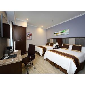 City Plaza Hotel & Suites - Alojamiento en David