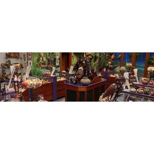 Tour de Ciudad - Mercado de Artesanias