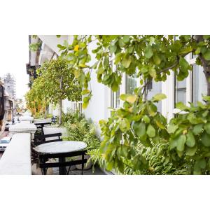 American Trade  - Alojamiento en Panama City